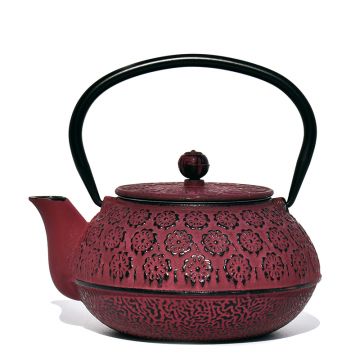 Čajnik od lijevanog željeza Shenmi